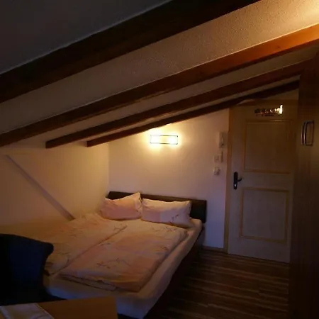 Apartment Gschwandtner Zell am See